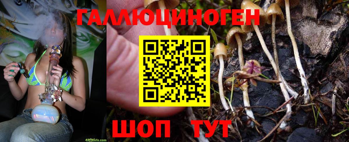Губкин  Псилоцибиновые грибы MAGIC MUSHROOMS  Галлюциногенные грибы мицелий  Вход с VPN 