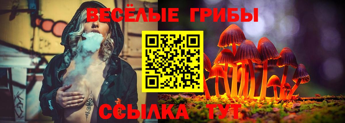 Псилоцибиновые грибы мицелий Губкин
